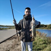  ,   Simpo, 33 ,   