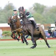 ���������� �������, ���� ������� Yaross, 45 ���, ������������ ��� ������, ����� � ���������, c�������� ���������