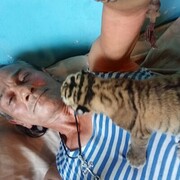 ���������� ���������, ���� ������� ������, 54 ����, ������������ ��� ������, ����� � ���������