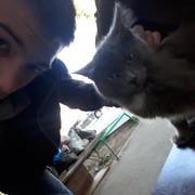  ,   , 26 ,   ,   , c 