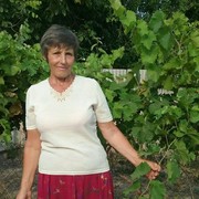  ,   , 74 ,  