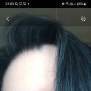 ���������� ������, ���� ������� �����, 46 ���, ������������ ��� c�������� ���������