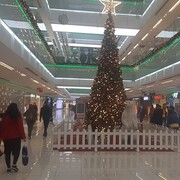 ���������� �������, ���� ������� ���, 41 ���, ������������ ��� ����� � ���������, c�������� ���������