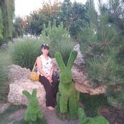  ,   , 44 ,     , c , 