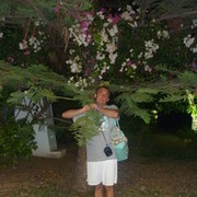 ���������� ������ ��������, ���� ������� PARDI2526, 51 ���, ������������ ��� ������, ����� � ���������, c�������� ���������