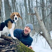 ���������� �������, ���� ������� ����, 41 ���, ������������ ��� ������, ����� � ���������, c�������� ���������, ���������