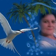 ���������� ��������, ���� ������� �����, 61 ���, ������������ ��� ������, ����� � ���������, c�������� ���������