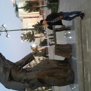  -,  begoo, 36