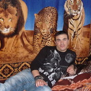 ���������� ���������, ���� ������� ��������, 40 ���, ������������ 