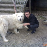 ���������� �����������, ���� ������� Timyr, 35 ���, ������������ ��� ������