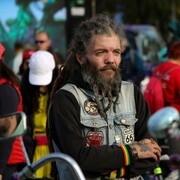 ���������� ������, ���� ������� ��������, 43 ����, ������������ ��� ������, ����� � ���������