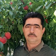  ,   , 56 ,   ,   