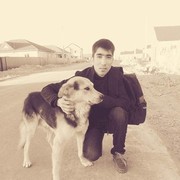 ���������� �����-���������, ���� ������� Alyosh, 32 ����, ������������ ��� ���������