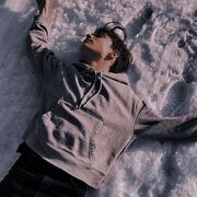 ���������� ������, ���� ����� Snake, 25 ���, ������������ ��� ������, ����� � ���������