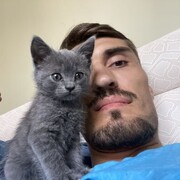 ���������� ���������, ���� ������� ����, 31 ���, ������������ ��� c�������� ���������