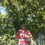 ���������� ��������, ���� ������� ����, 39 ���, ������������ ��� ����� � ���������, c�������� ���������