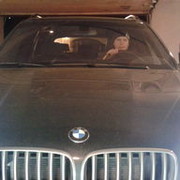  ,   DIMON_96rus, 46 ,   ,   , c 