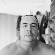  -,   , 44 ,   ,   