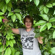 ���������� �������, ���� ������� �����, 46 ���, ������������ ��� ����� � ���������, c�������� ���������