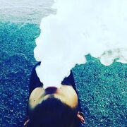 ���������� �����������, ���� ����� �������, 23 ����, ������������ ��� ����� � ���������, c�������� ���������