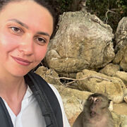 ���������� �����, ����