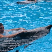 ���������� �����, ���� ������� ������, 40 ���, ������������ ��� ������, ����� � ���������, c�������� ���������