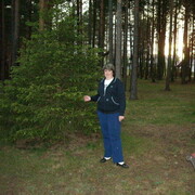  ,   , 51 ,   c , 