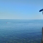 ���������� ���������, ���� ������� �����, 38 ���, ������������ ��� ������, ����� � ���������