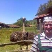  ,  Stoyan, 65