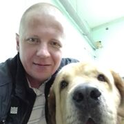 ���������� ������������, ���� ������� ������, 43 ����, ������������ ��� ������, ���������