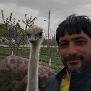  ,   ARTAK, 46 ,   ,   