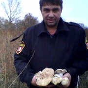  ,   , 51 ,   ,   , c 