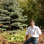 ���������� ������, ���� ������� ������, 62 ����, ������������ ��� ������, ����� � ���������, c�������� ���������