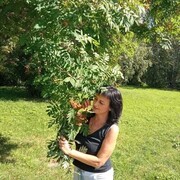 ���������� �����������, ���� ������� ������, 55 ���, ������������ ��� ����� � ���������, c�������� ���������