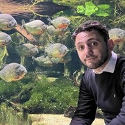  ,   Alex, 38 ,     , c 