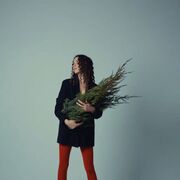 ���������� ������, ���� ������� ����, 23 ����, ������������ ��� ������, ����� � ���������, c�������� ���������