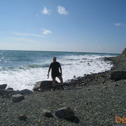 ���������� �����, ���� ������� Albert, 48 ���, ������������ ��� ������, ����� � ���������, c�������� ���������