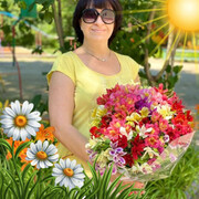 ���������� ���������, ���� ������� ����, 56 ���, ������������ ��� ������, ����� � ���������, c�������� ���������