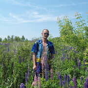  ,   , 46 ,   ,   , c 