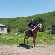  ,   , 36 ,   ,   