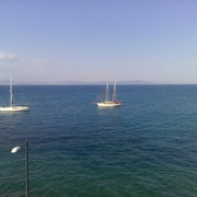 ���� �����������