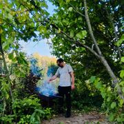 ���������� ������, ���� ������� ������, 31 ���, ������������ ��� ������, ����� � ���������, c�������� ���������, ���������