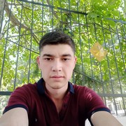 ���������� ������, ���� ������� Bobur, 29 ���, ������������ ��� ������, ����� � ���������, c�������� ���������