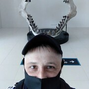  ,   , 43 ,   ,   
