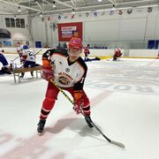 ���������� ����, ���� ������� ����, 46 ���, ������������ ��� ����� � ���������, c�������� ���������