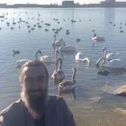 ���������� �����������, ���� ������� ����, 45 ���, ������������ ��� ������, ����� � ���������, c�������� ���������, ���������