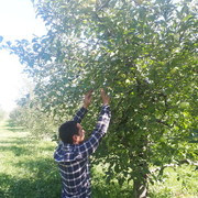  ,   Elnur, 38 ,   ,   , c 