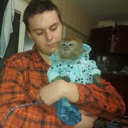 ���������� ������������, ���� ����� ����, 22 ����, ������������ ��� ������, ����� � ���������, c�������� ���������, ���������