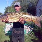  ,  Maksim, 37