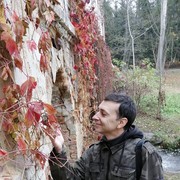 ���������� ����, ���� ������� �������, 49 ���, ������������ ��� ������, ����� � ���������, c�������� ���������